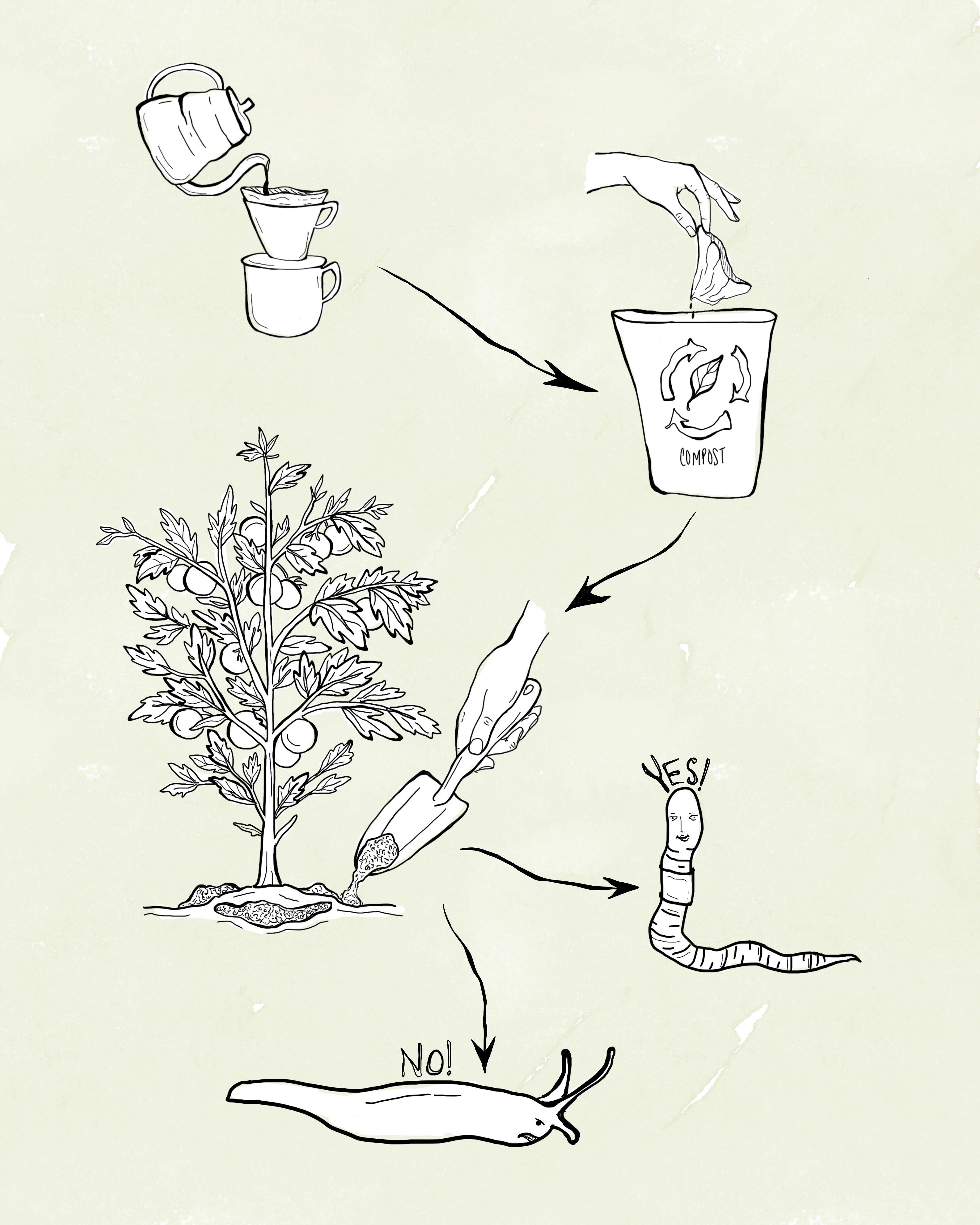 Composting + Gardening with Coffee – Captain + Stoker